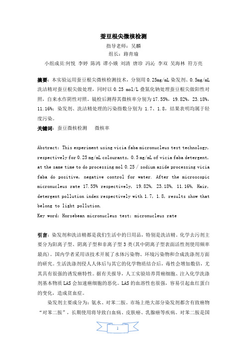 蚕豆根尖微核检测