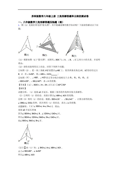 苏科版数学八年级上册 三角形解答题单元培优测试卷