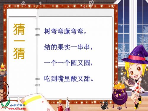 葡萄沟课件(公开课)