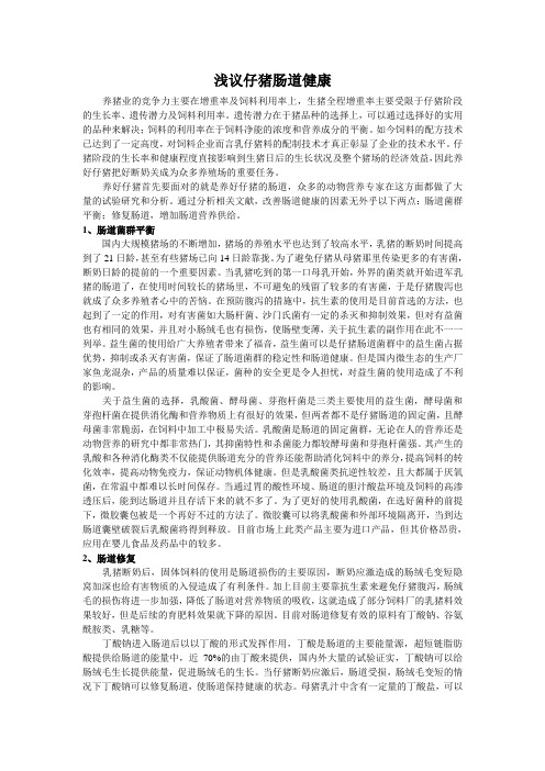 仔猪肠道健康