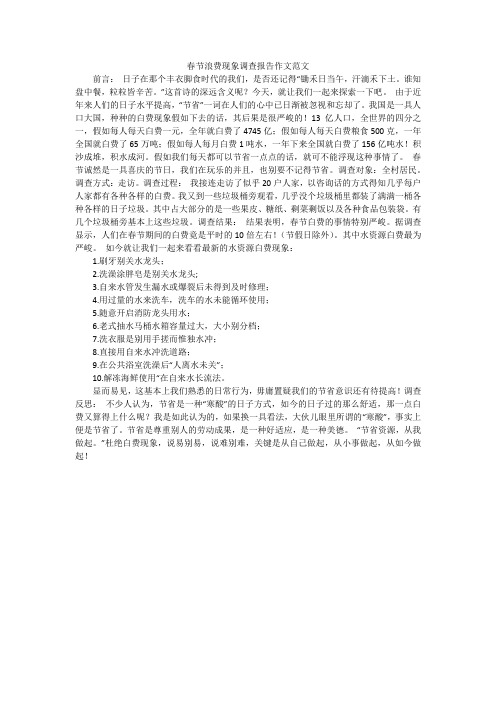 春节浪费现象调查报告作文范文