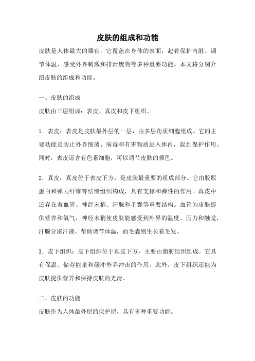 皮肤的组成和功能