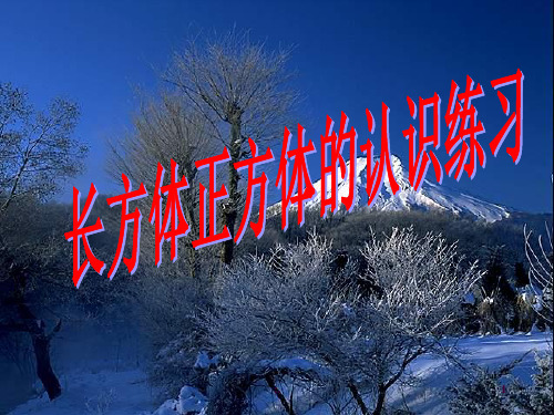长方体、正方体的展开图及练习ppt课件