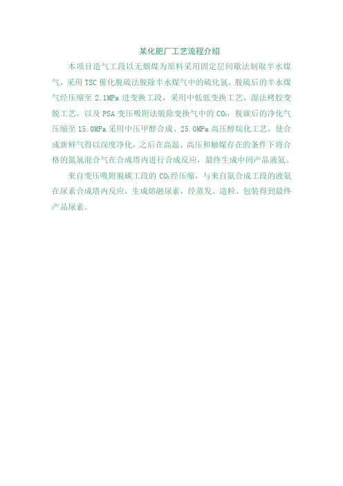 某化肥厂工艺流程介绍