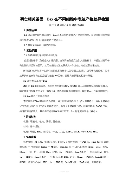 凋亡相关基因Bax在不同细胞中表达产物差异检测