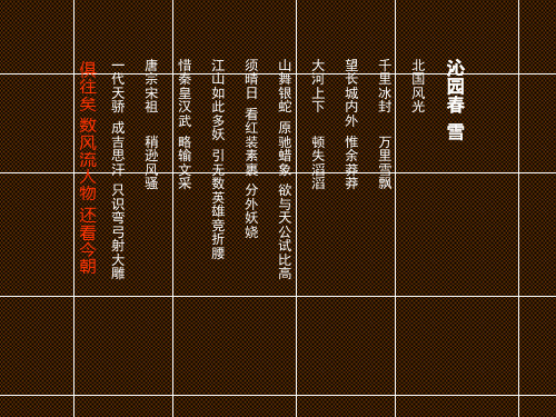 绿地杜莎公馆年度执行提报167P