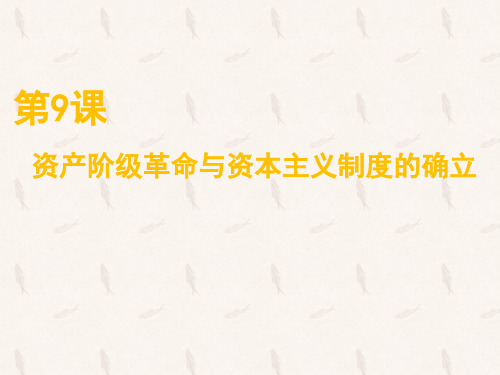 《资本主义制度的确立》统编版ppt课件1