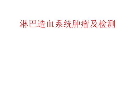 血液肿瘤与检测ppt课件