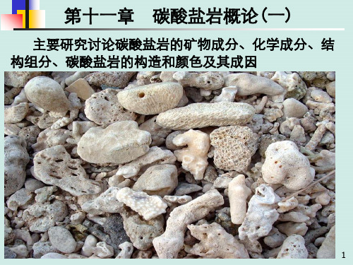 碳酸盐岩概论