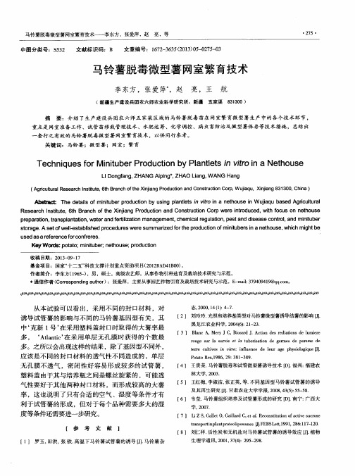 马铃薯脱毒微型薯网室繁育技术