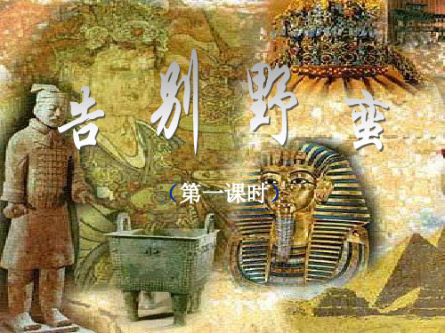 得天独厚的大河流域文明PPT教学课件