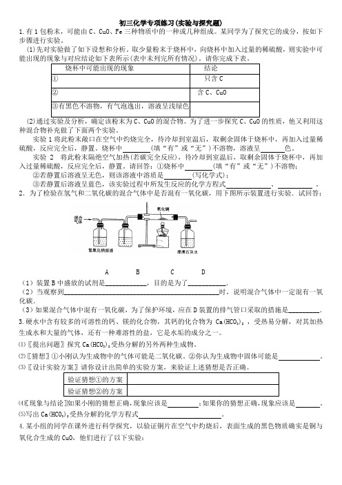 初三化学专项练习(实验与探究题)