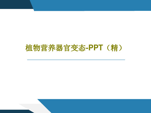植物营养器官变态-PPT(精)40页文档