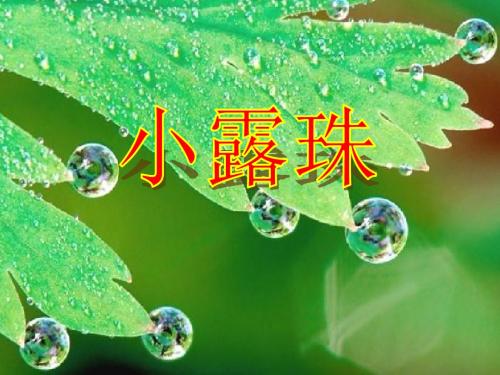 二年级语文下册第二单元第6课《小露珠》教学 精选教学PPT课件1冀教版