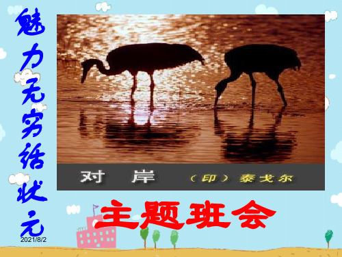 魅力无穷话状元——主题班会pptPPT精选课件