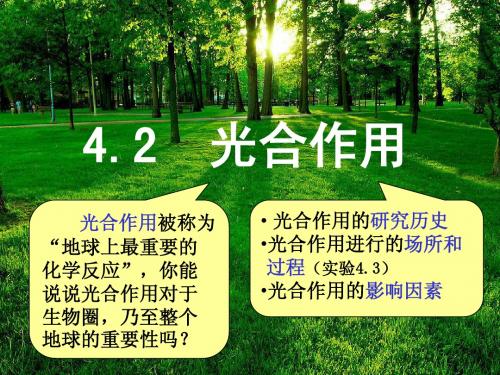 4[1].2光合作用