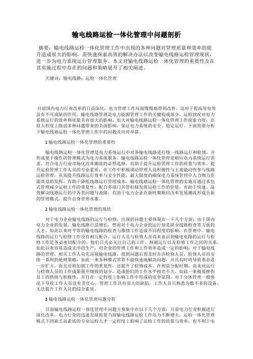输电线路运检一体化管理中问题剖析