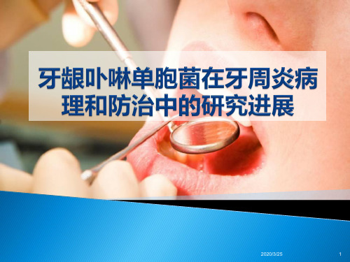 牙龈卟啉单胞菌(课堂PPT)