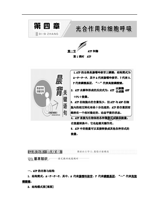 2019-2020学年高中生物苏教版必修1教学案：第四章 第一节 第1课时 ATP Word版含答案