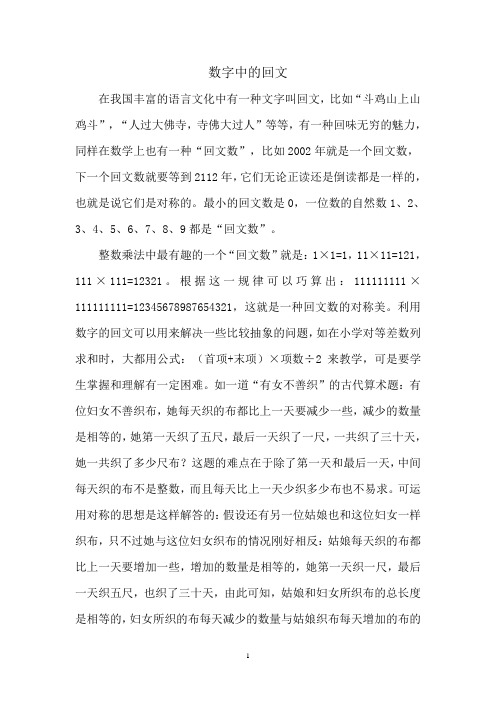 数字中的回文