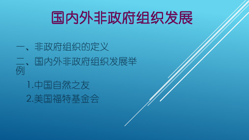 非政府组织PPT