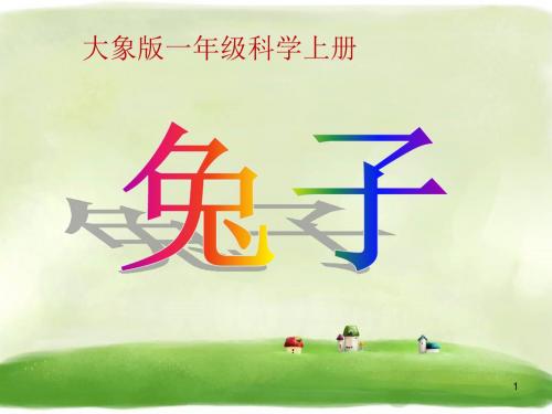 一年级上册科学课件-2.1兔子 大象版 