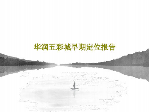 华润五彩城早期定位报告66页PPT