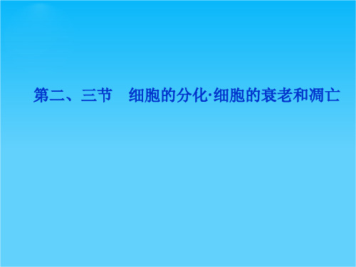 优化方案高考生物总复习(浙科版)课件必修1第四章第二、三节细胞的分化·细胞的衰老和凋亡