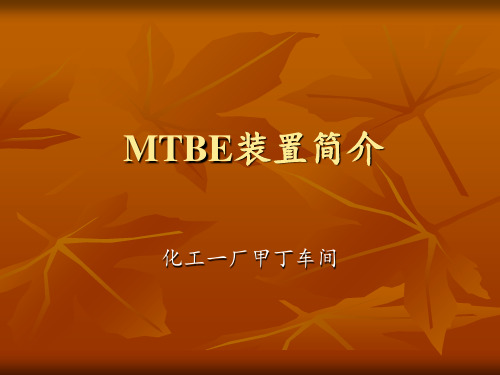 甲基叔丁基醚的装置生产原理及工艺流程 ppt课件