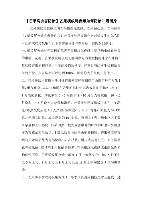 【芒果病虫害防治】芒果横纹尾夜蛾如何防治？附图片