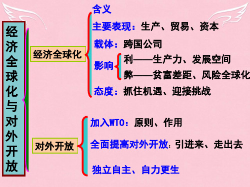 高三政治第二轮专题复习经济全球化与对外开放课件
