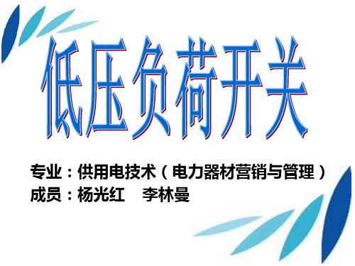 低压负荷开关