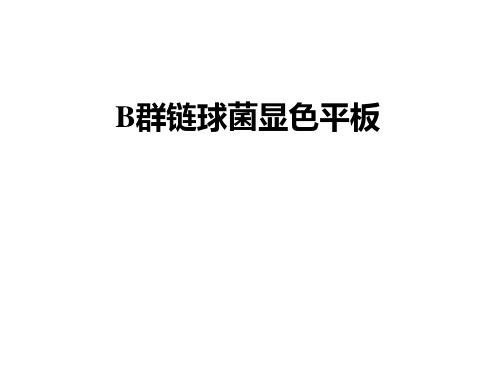 B群链球菌显色平板课件