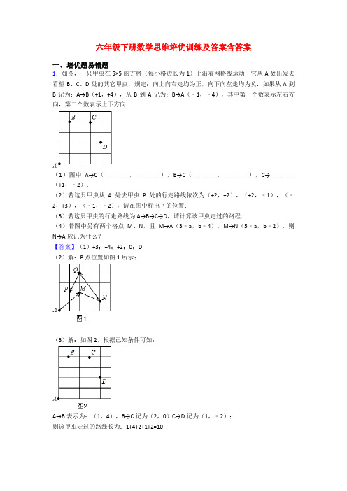 六年级下册数学思维培优训练及答案含答案