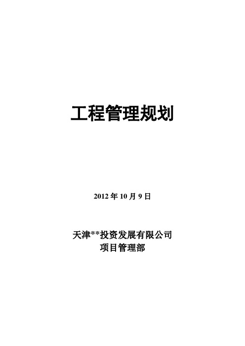 商业广场项目工程管理规划