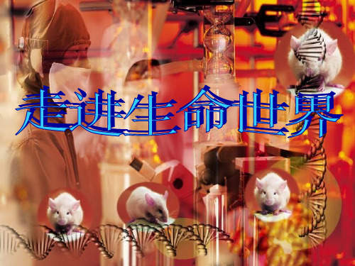 初中生物北师大版七年级上册1.1走进生命世界课件(共45张PPT)
