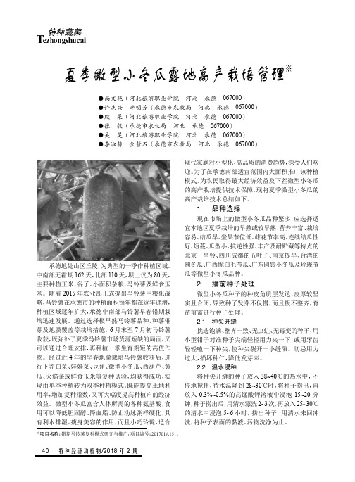 夏季微型小冬瓜露地高产栽培管理