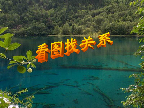 足球场内的声音精品PPT教学课件