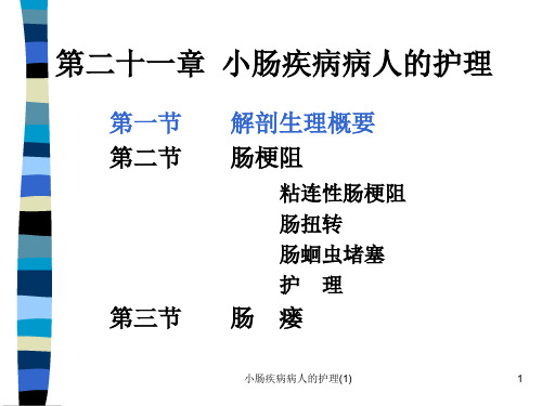 小肠疾病病人的护理(1)课件