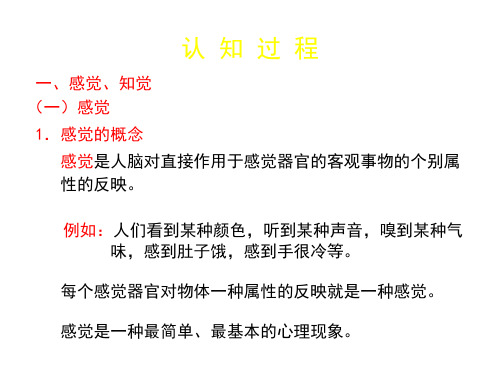 认 知 过 程
