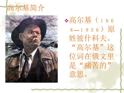 人教版三年级上册语文《小摄影师》