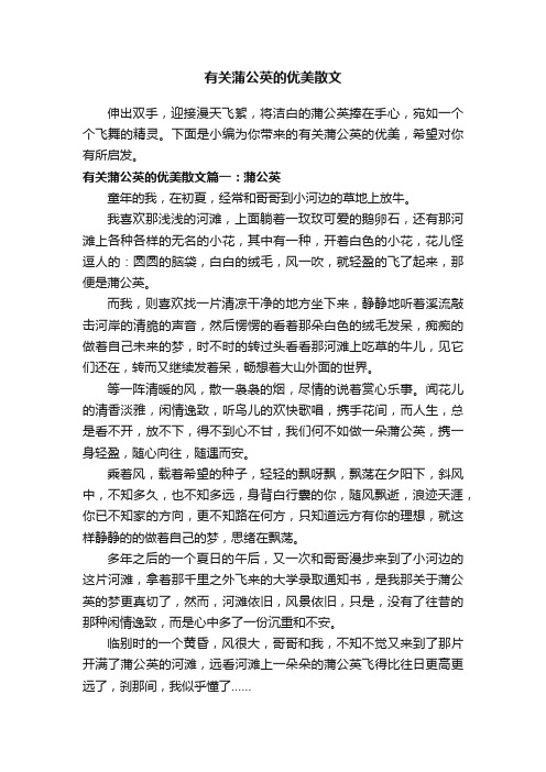 有关蒲公英的优美散文