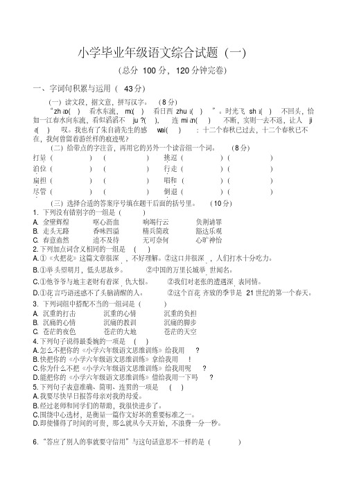 西师版小学毕业语文综合试题共6套