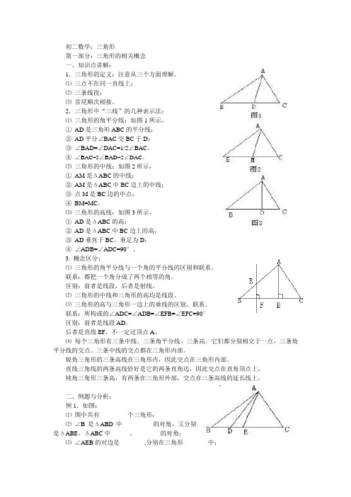 初二数学三角形的要点