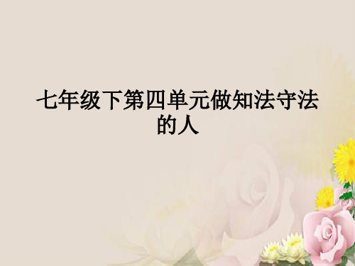 做知法守法的人ppt优秀课件 人教版