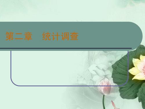 第二章：统计调查