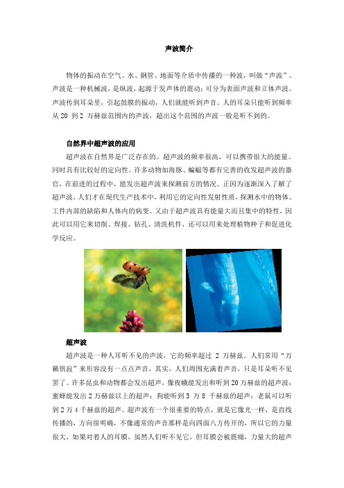 声波简介