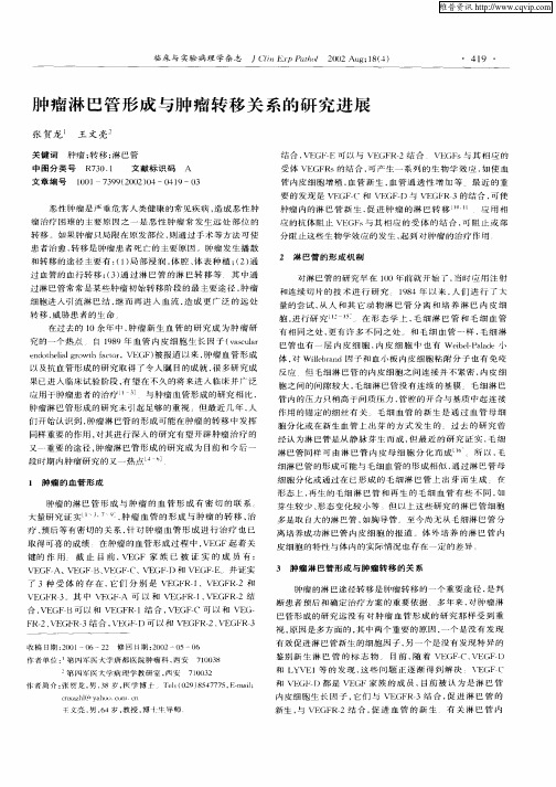 肿瘤淋巴管形成与肿瘤转移关系的研究进展