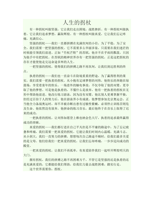 人生的拐杖
