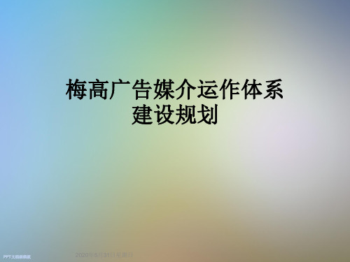 梅高广告媒介运作体系建设规划